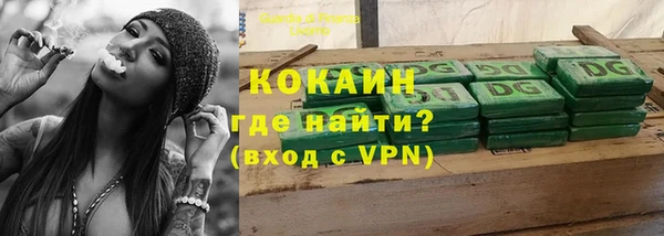 бошки Новодвинск