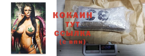 твердый Новозыбков