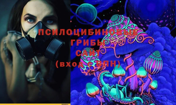 МДМА Козловка
