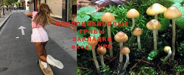 дмт Киреевск