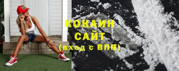гашик Корсаков