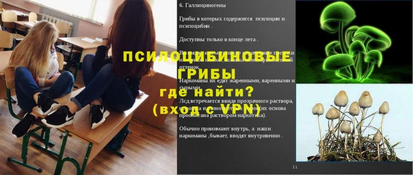 МДМА Козловка