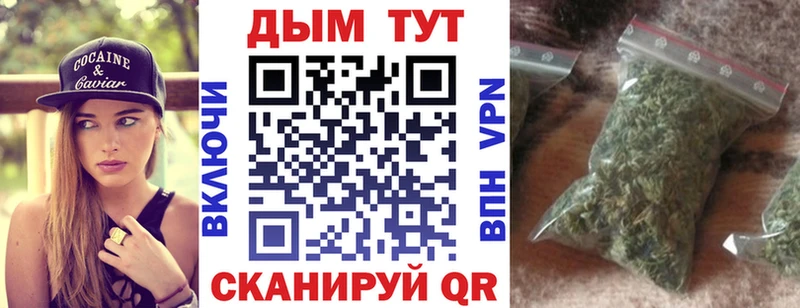 купить наркотики цена  Куровское  Шишки марихуана сатива 